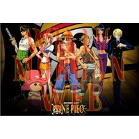 One Piece 9